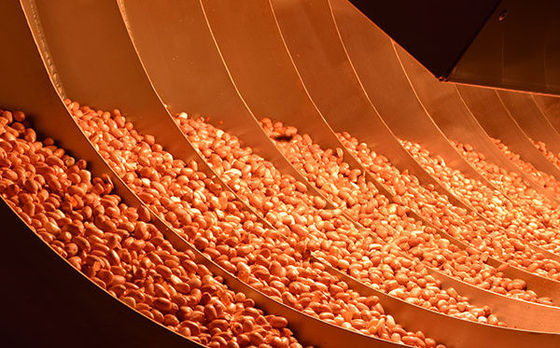 germi più asciutti rotatori infrarossi di uccisione dell'alimento 2000kg/H